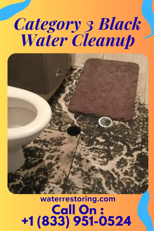 Category 3 Black Water Cleanup in St. Croix Falls, WI