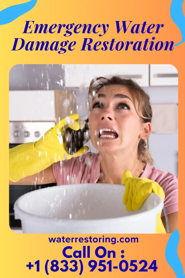 Emergency Water Damage Restoration in St. Croix Falls, WI