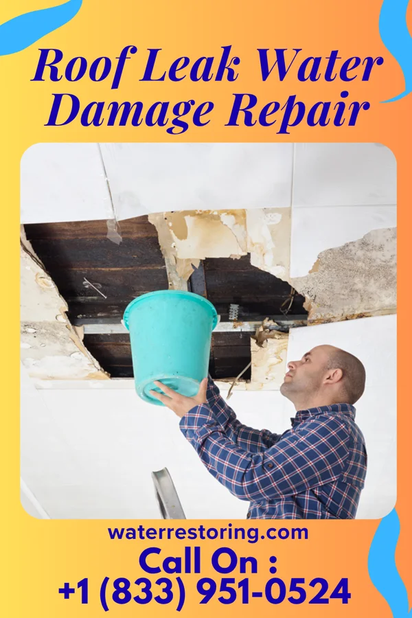 Roof Leak Water Damage Repair in St. Croix Falls, WI