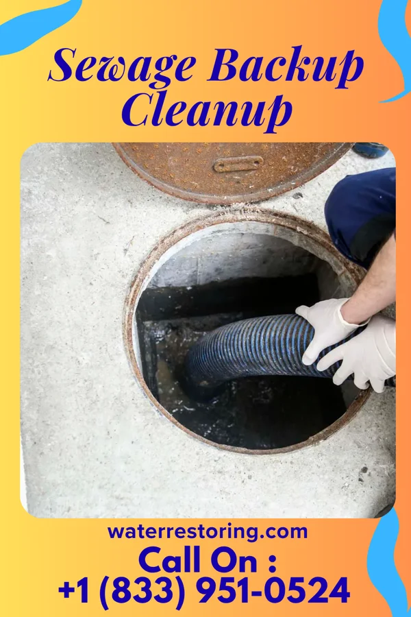 Sewage Backup Cleanup in St. Croix Falls, WI